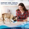 Active Dog Oral